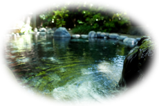 田乃倉の温泉