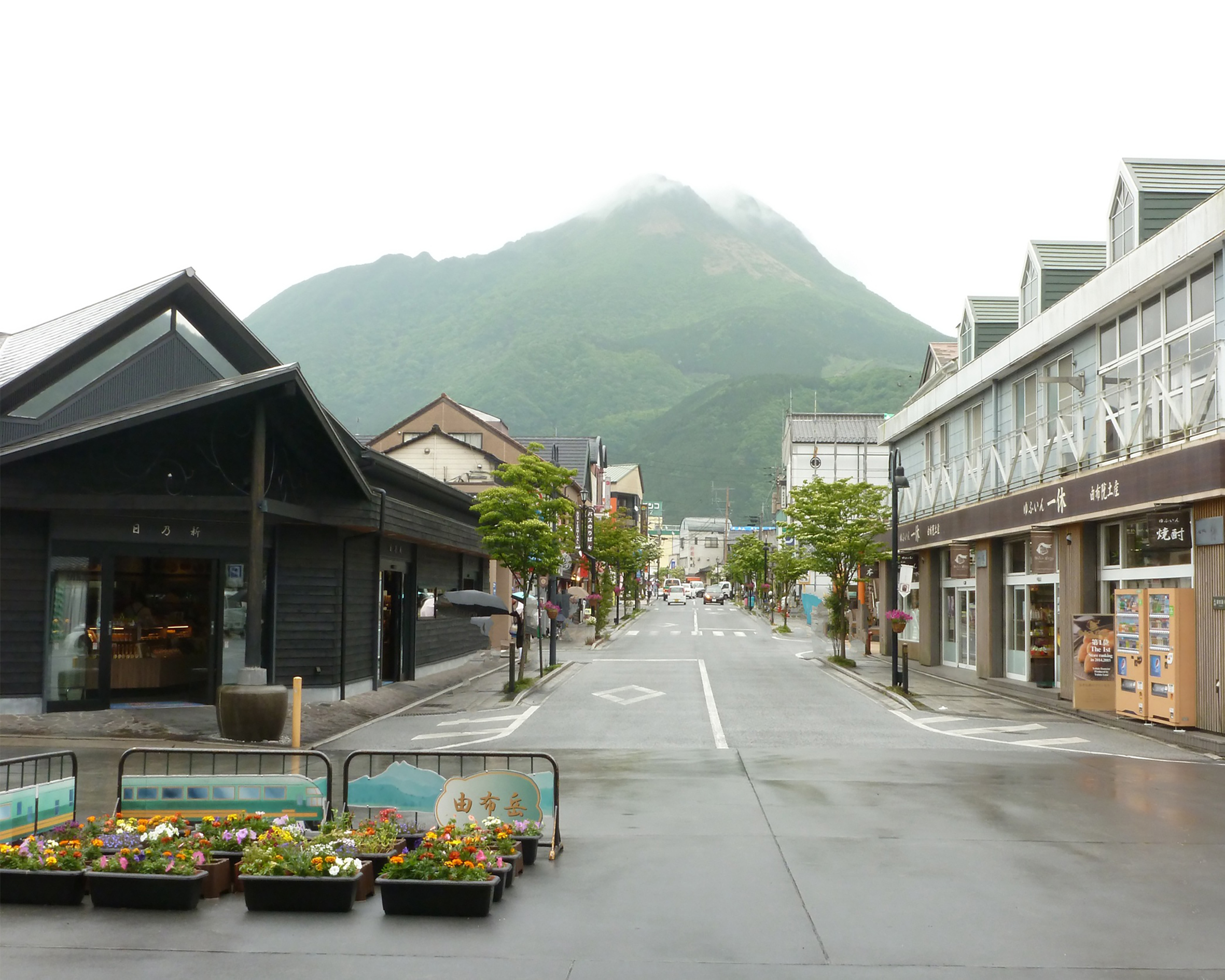 季節の厳選素材堪能プラン