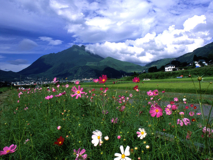 由布岳